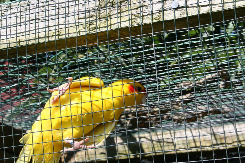 Zum Schlossgarten Ralswiek Zewnętrze zdjęcie